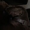 abond0617